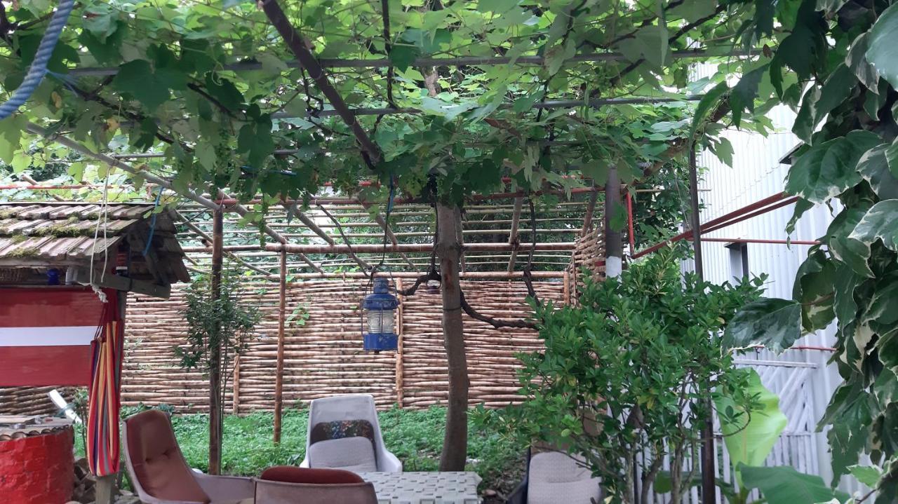 Merabi Guest House Makhinjauri Esterno foto